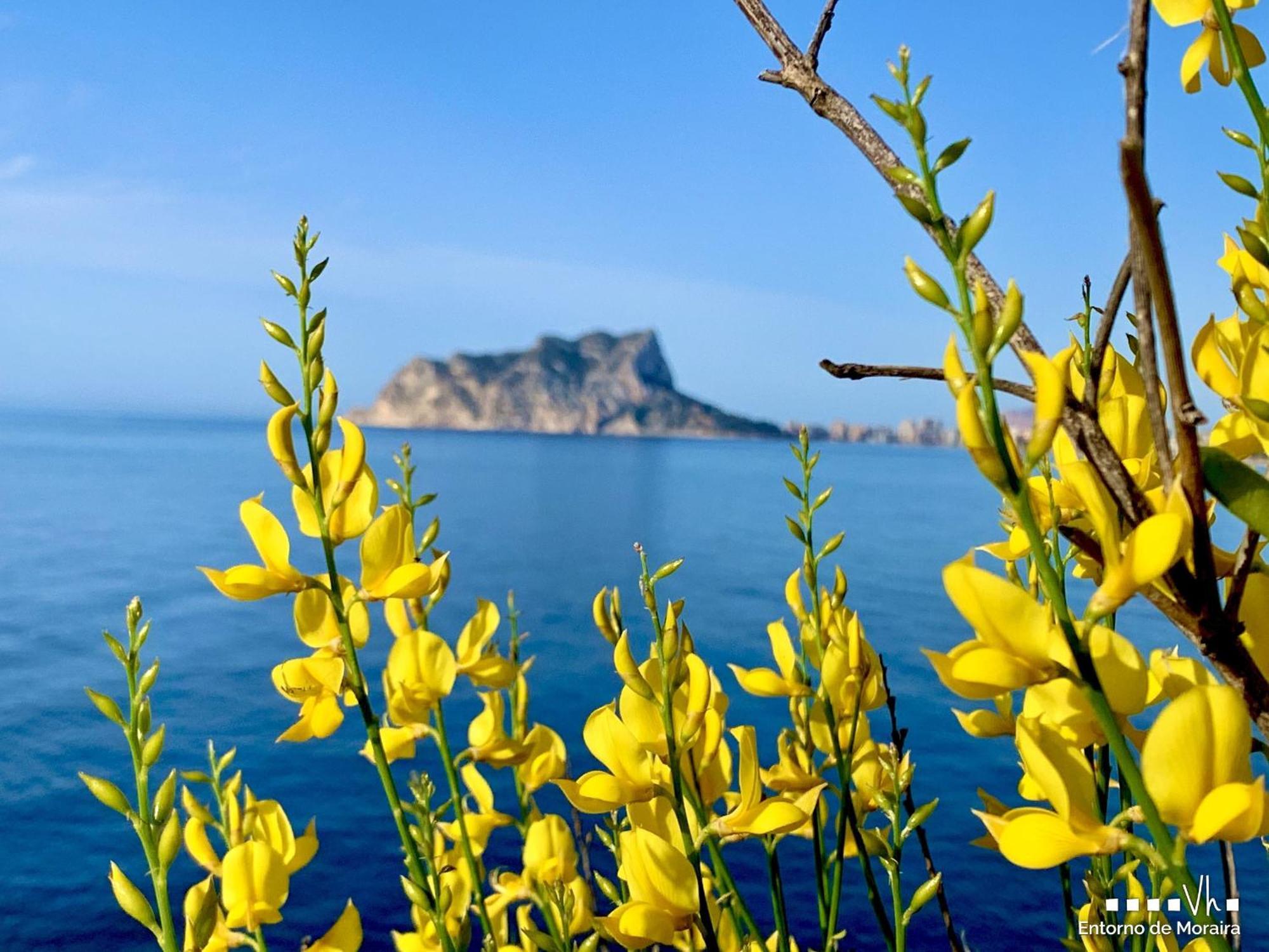 Vh Costablanca - Apartamento Riviera Moraira Dış mekan fotoğraf